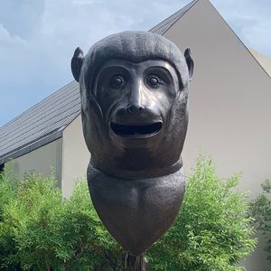 Meet your Posher, Ben